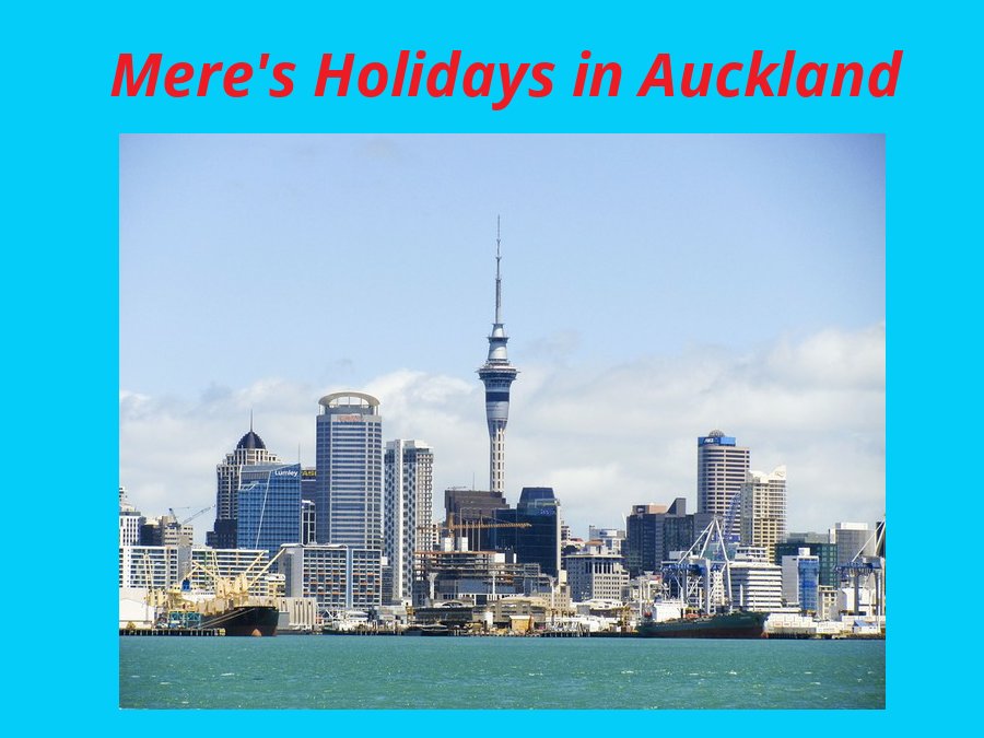 My Auckland Holiday