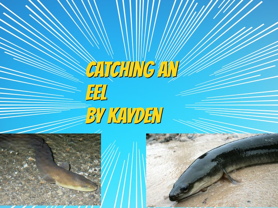 Catching Eels