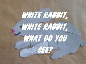 White rabbit, white rabbit, what do you see?