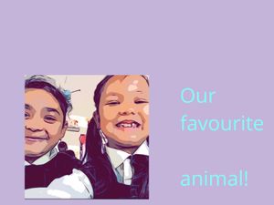 Our favourite animals book 2
