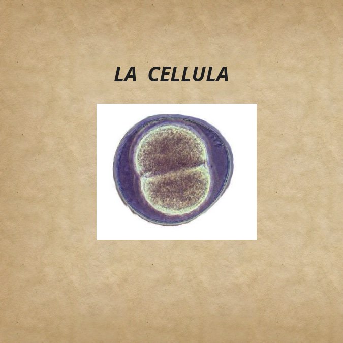 La cellula