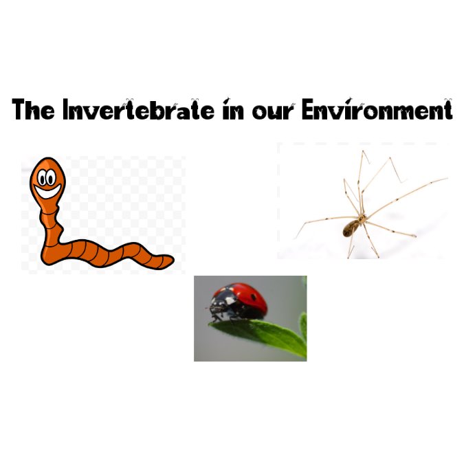 The Invertebrate in our Environment